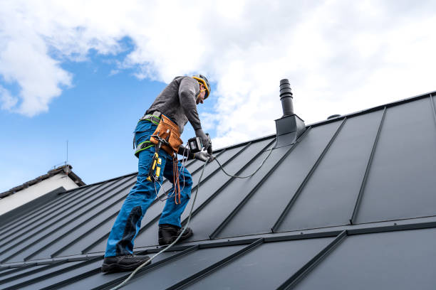Best Roof Maintenance and Cleaning  in Dundalk, MD